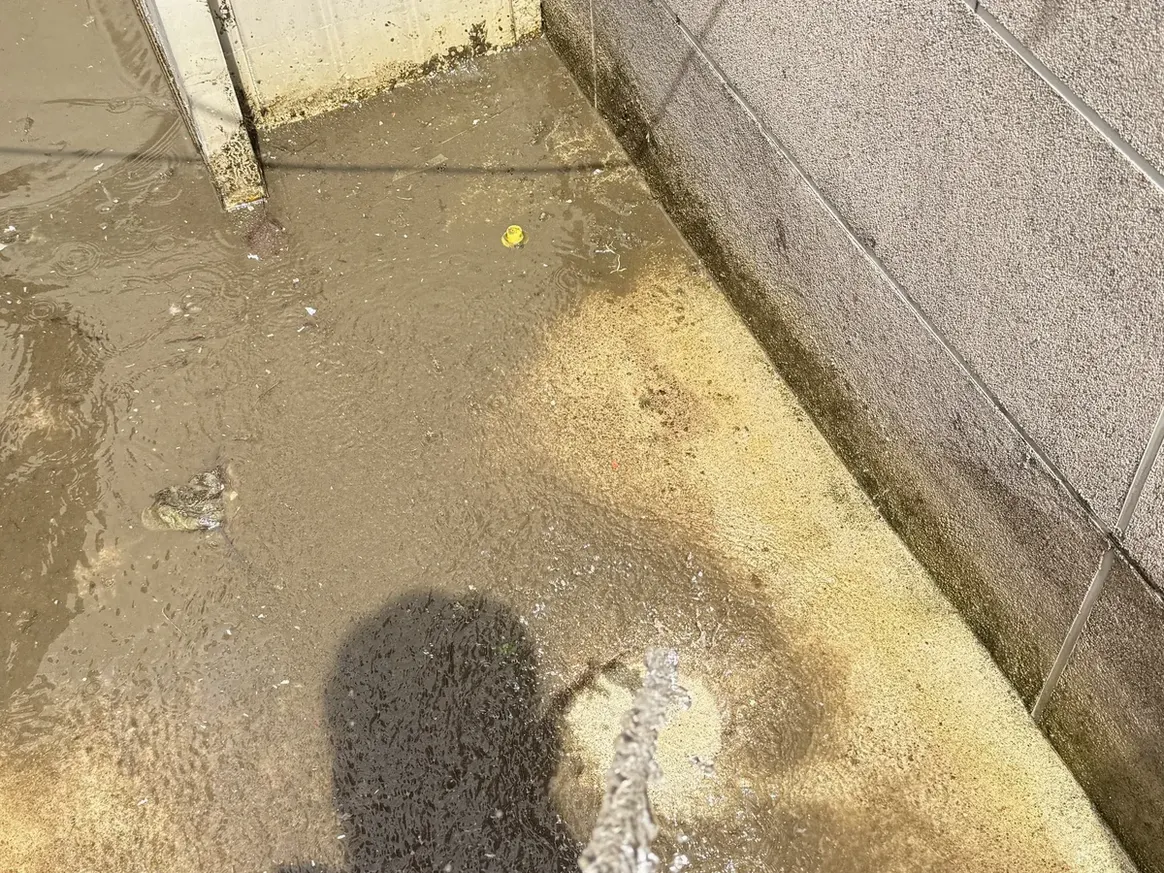 거제시 거제면 침수 현장 복도·대기 동선 야간 위생청소 사례 - 행진크린